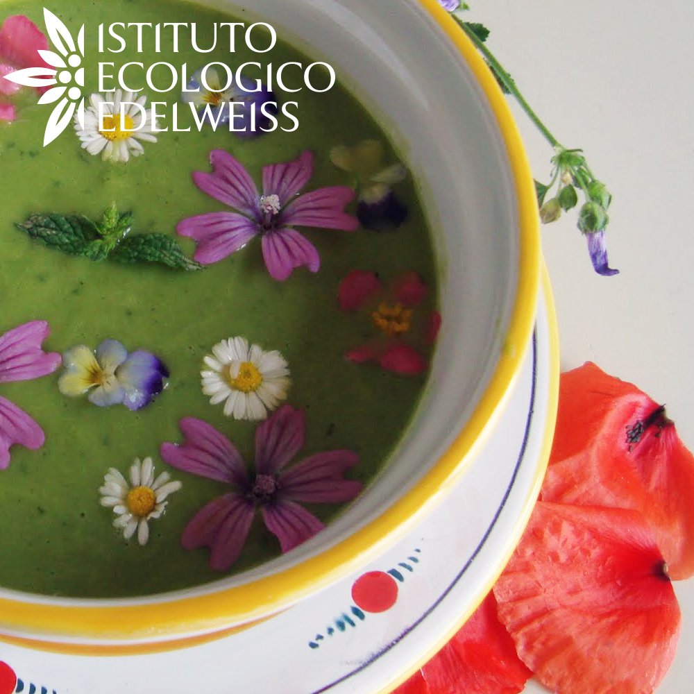 IEEdelweiss's tweet photo. https://t.co/yAioC4aocm
#istitutoecologicoedelweiss #beauty #follow #nature #cosmetics #bio #madeinitaly #natura #cook https://t.co/Ix420m30zw