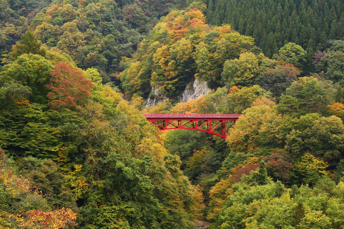 山田温泉 山田館 على تويتر 高山村山田温泉入り口高井橋の紅葉 綺麗になってきました 高井橋 高山村 紅葉 紅葉スポット 山田館