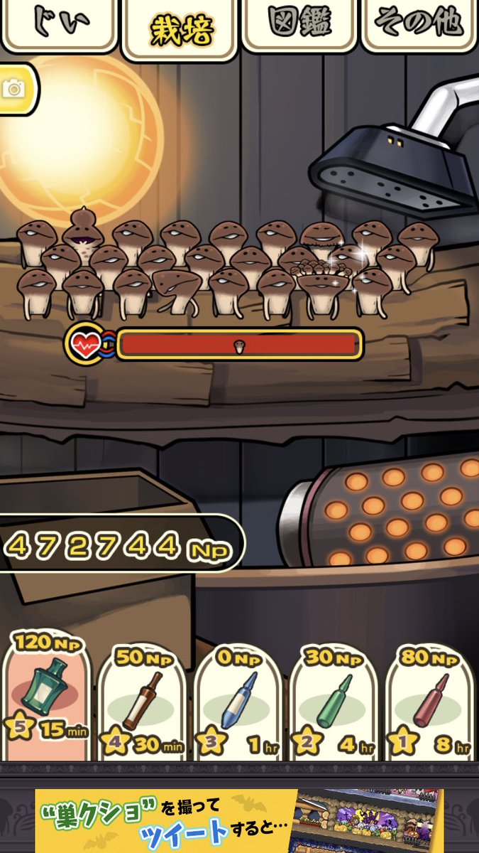 なななななめこ Nnnnn Mko Twitter