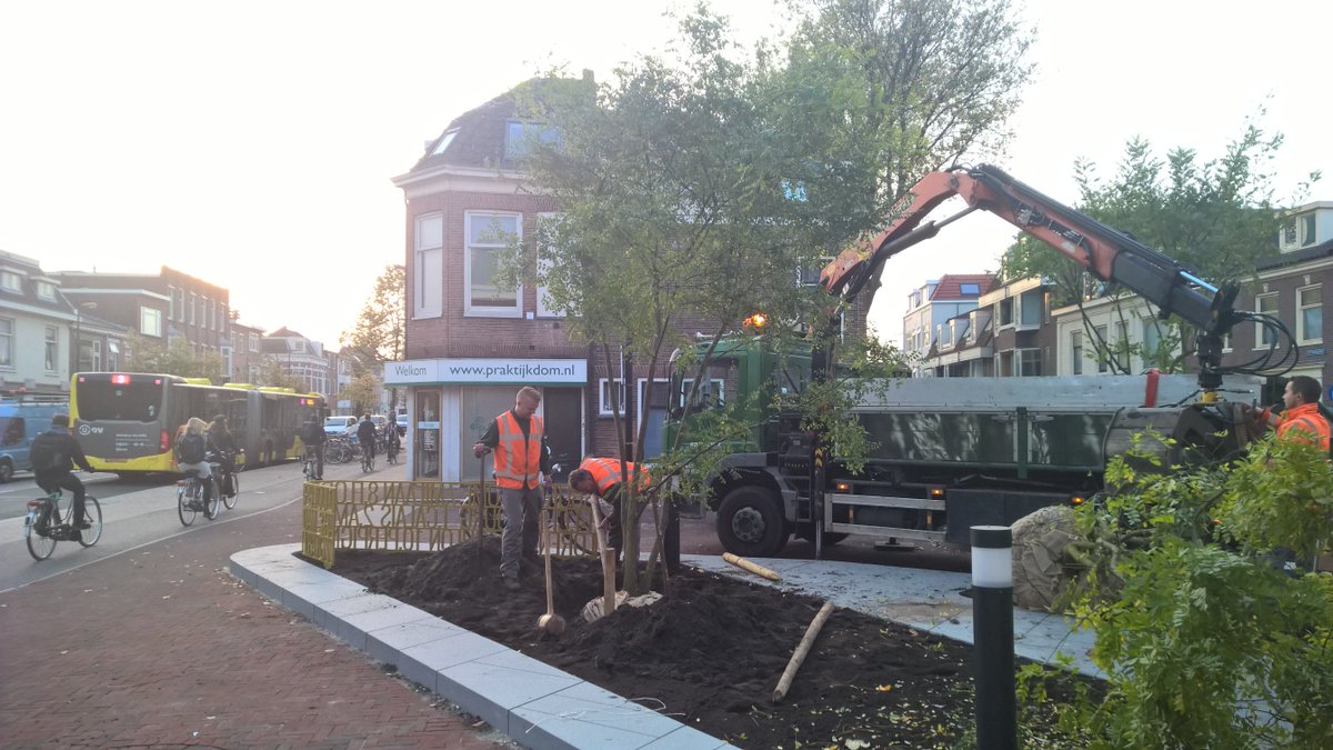 zoispijlsweerd's tweet photo. En daar zijn de bomen. #KleinNeude #asw030 https://t.co/zotihDqdaX