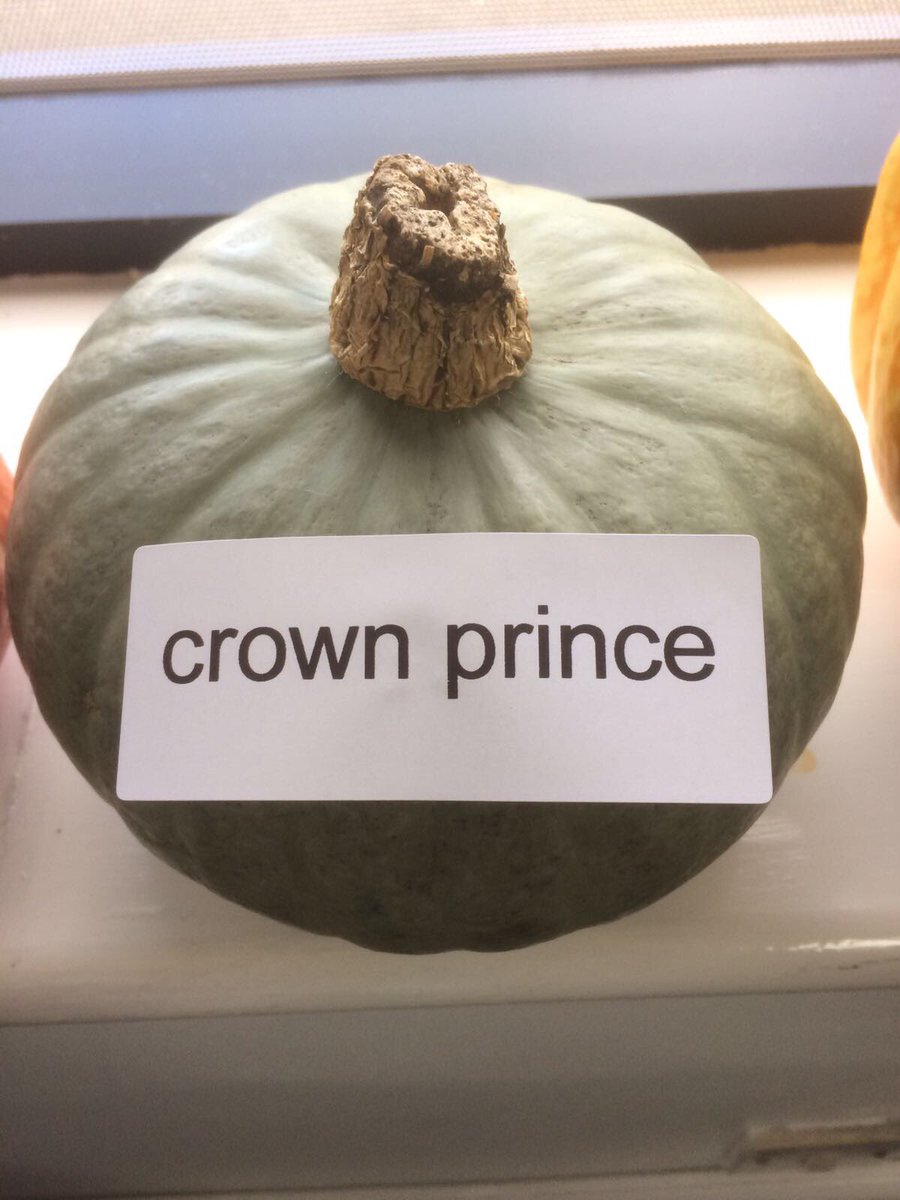 Squashes with name badges. What next #stafftraining