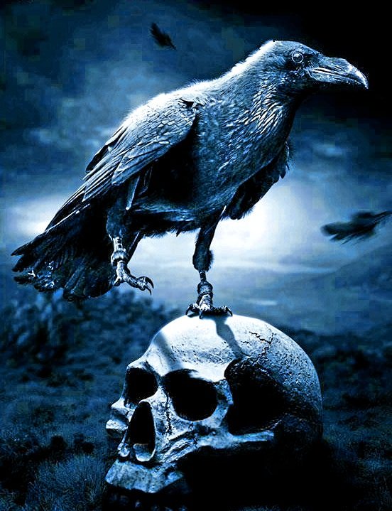 EAPsTheRaven's tweet photo. #TheRaven will make this @LndnHorrorFest one you'll NEVER forget... Not scared are you? #KillForATicket https://t.co/P18ykvxnjd