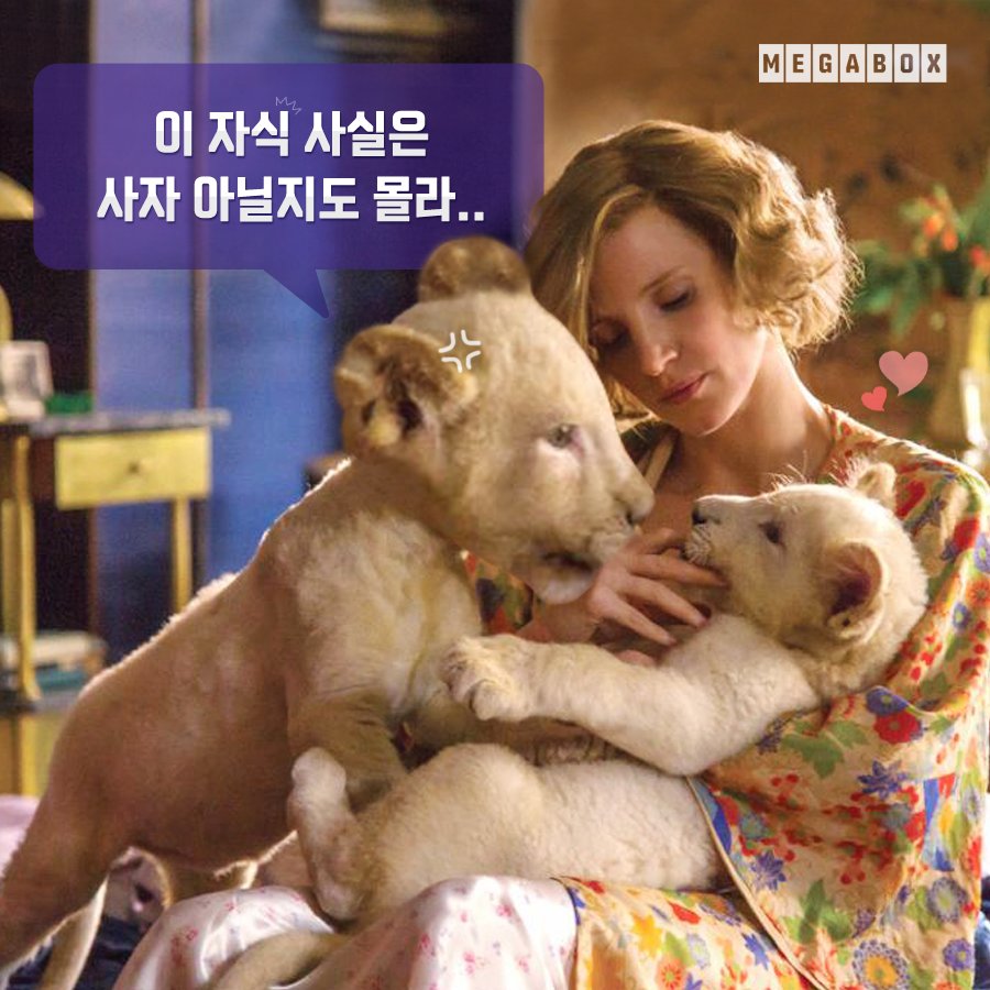 Жена смотрителя зоопарка содержание. Жена смотрителя зоопарка фильм 2017 jessica chastain. Жена смотрителя зоопарка фильм 2017. Жена смотрителя зоопарка фильм 2017. Даниэль брюль жена смотрителя зоопарка.