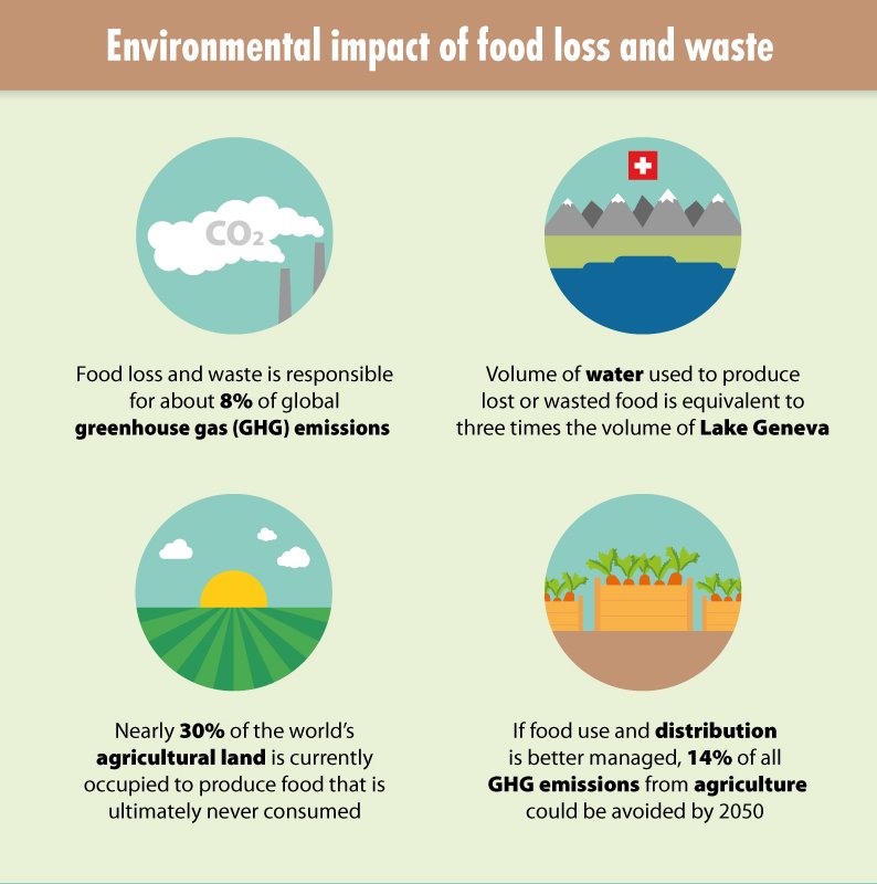 Food loss and waste can have a big impact on the environment
