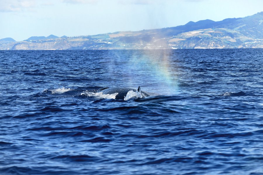 Moth Clark tweet media