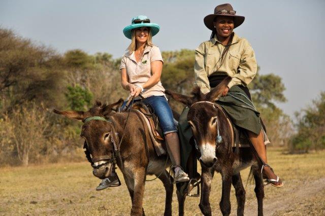 Our #Maun office team gets to grip with their new mode of transport. Our #selfdrive vehicles are way more comfortable! #Botswana 🇧🇼