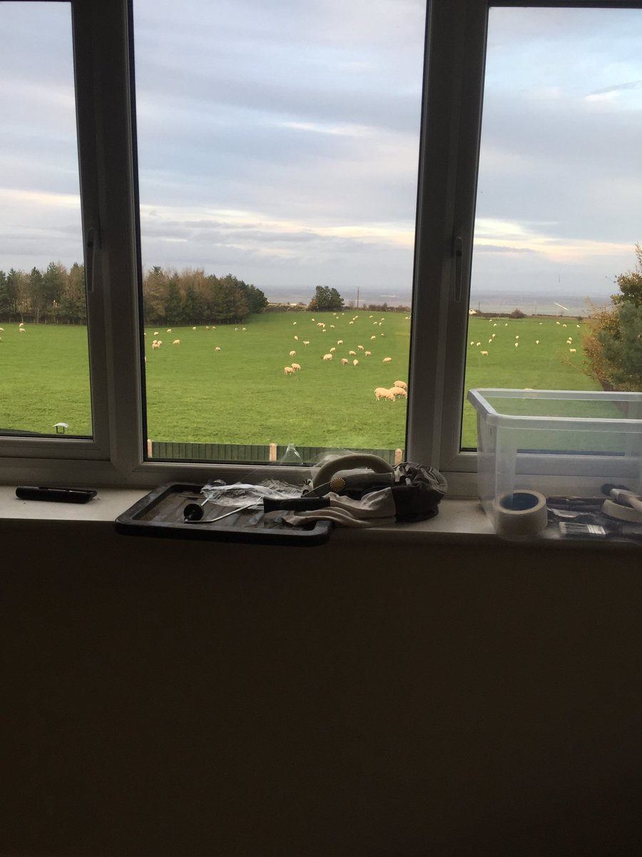 deborah999b's tweet photo. Operation decorate upstairs living room in time for new carpets &amp; sofa. I just love my view ❤️ #decorating #viewsofwales https://t.co/lUgdQbNXOG