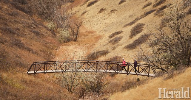 Leth_Herald's tweet photo. A few of today's published photos by @TMartinHerald
#yql https://t.co/IYA6THKnr5