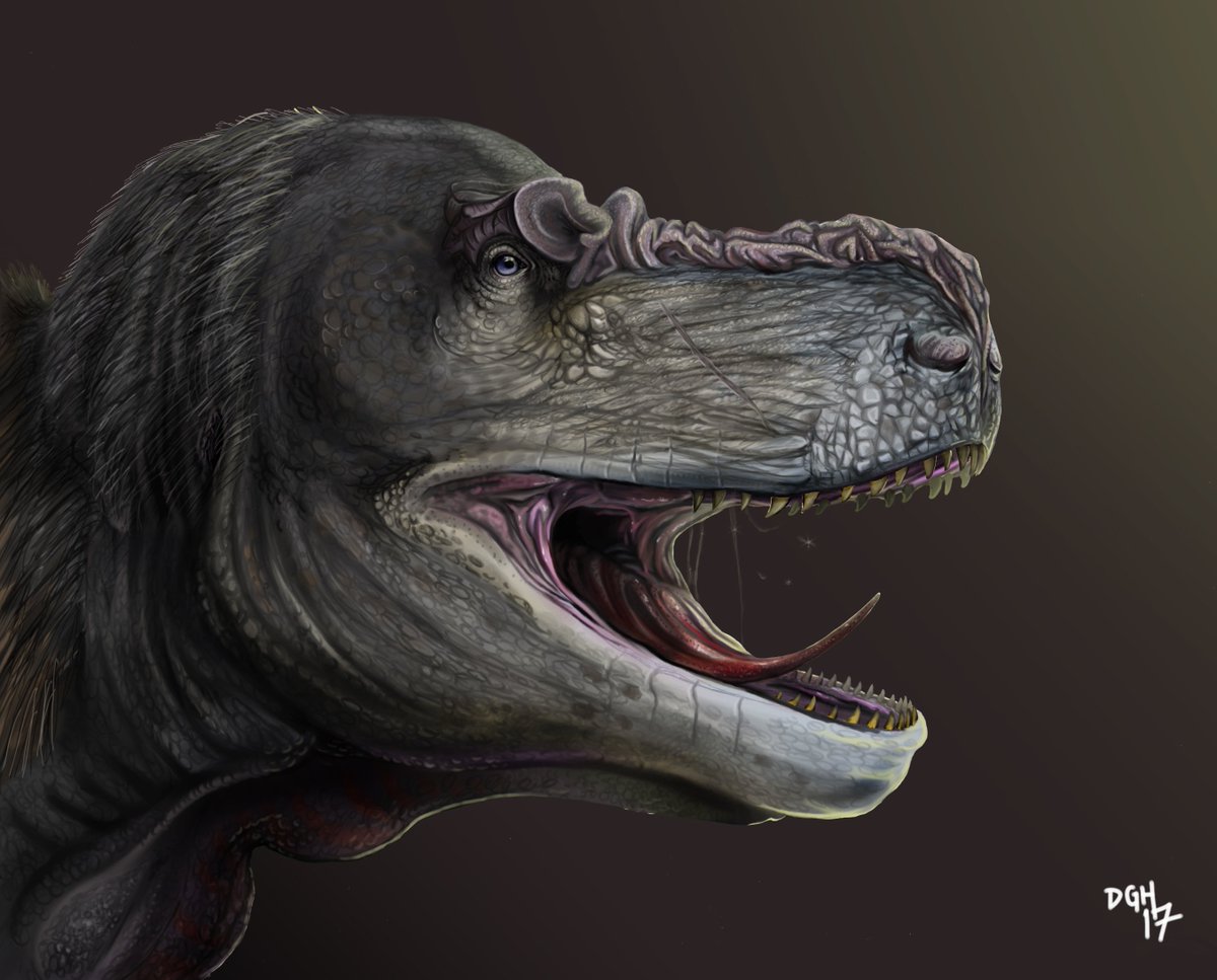 McBlackneck's tweet photo. The Tyrant King #tyrannosaurus #rex #paleort #dinosaur

https://t.co/255nI5hUb9 https://t.co/5MtWN9aOLh