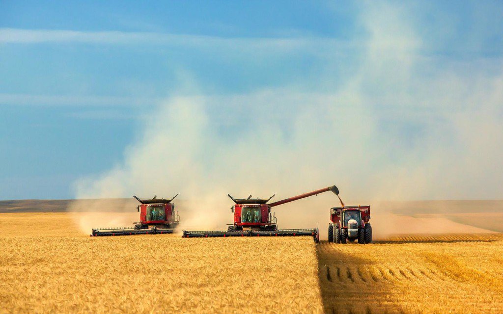 KZEmbassyCA's tweet photo. Kazakhstan - important player on the global food security issues. Kazakh farmers harvest 21.9 mln. tonnes of grain https://t.co/NApzV0K0Ox https://t.co/82AxQ9eWJ0