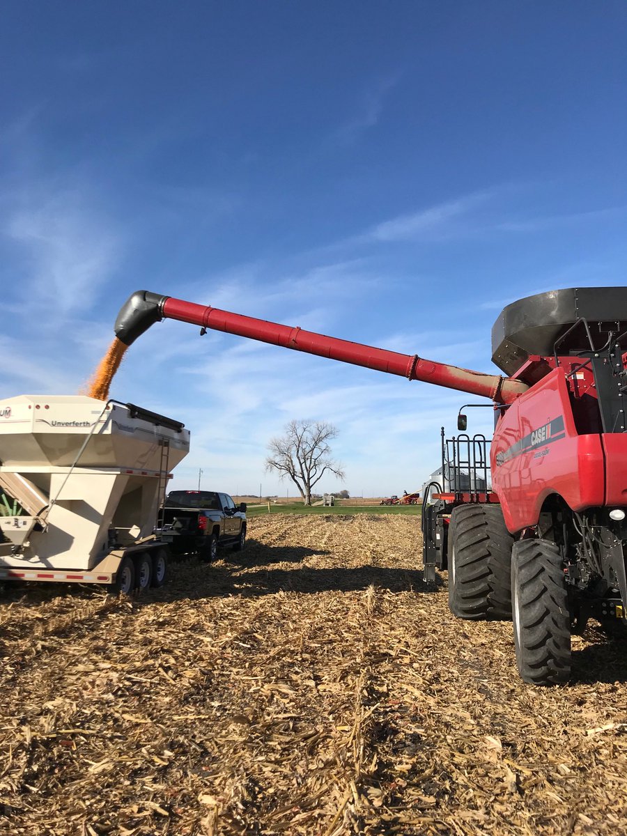 NRN42's tweet photo. And your corn on corn plot winner is P0157AMX by Wabasso!  @PioneerMN https://t.co/eA2tknDkDG