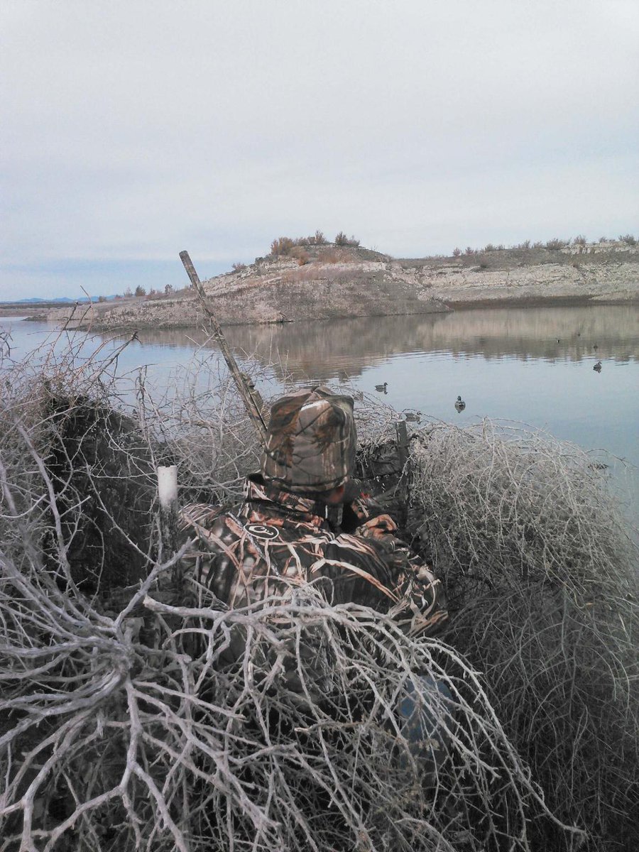 LandOfFishing's tweet photo. Do you have duck hunting tips you use every year? Share them with us! #DuckHunting #NewMexico https://t.co/QNUGqR2fTa