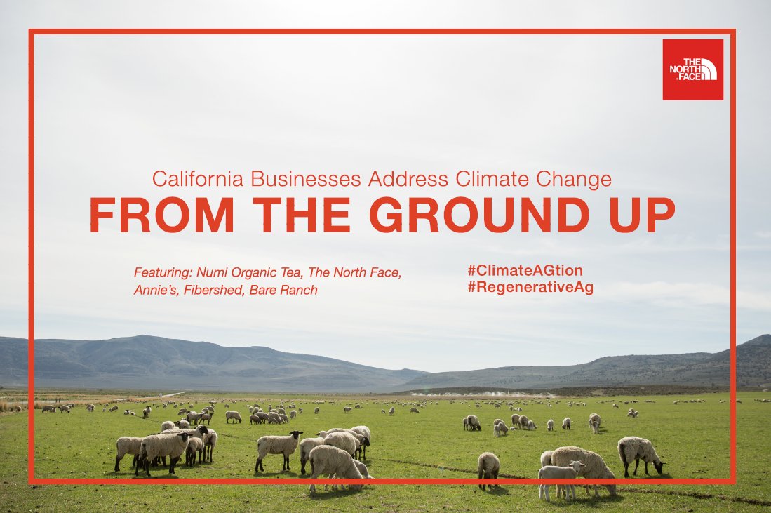 EdelmanPurpose's tweet photo. We’re excited to hear from @thenorthface and other California businesses at @theperennialsf on how they’re addressing #climatechange #client https://t.co/bW8ASEBntk