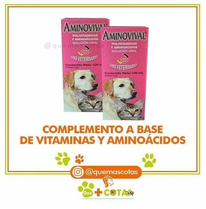 QueMascotas's tweet photo. Vitamina para tu #perro #gato #porcino #equino #conejo #pez esto y más lo conseguíras en nuestro negocio @QueMascotas #lara #Barquisimeto https://t.co/zzt3FB9gBh