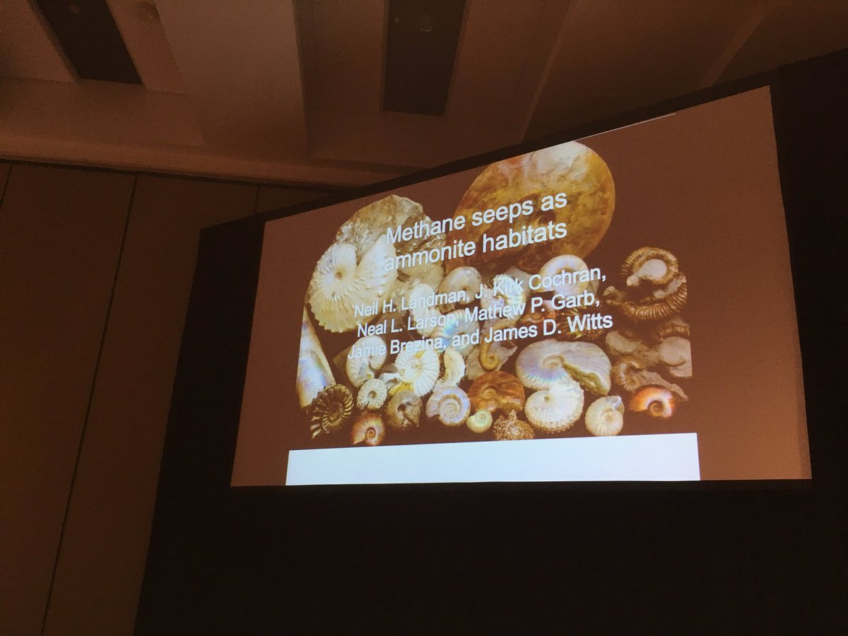 Alison_Rowe's tweet image. Loved Neil Landman’s talk this morning in the Mapes session. Methane seems as ammonite habitats. @Paleo_Society #GSA2017 @AMNH