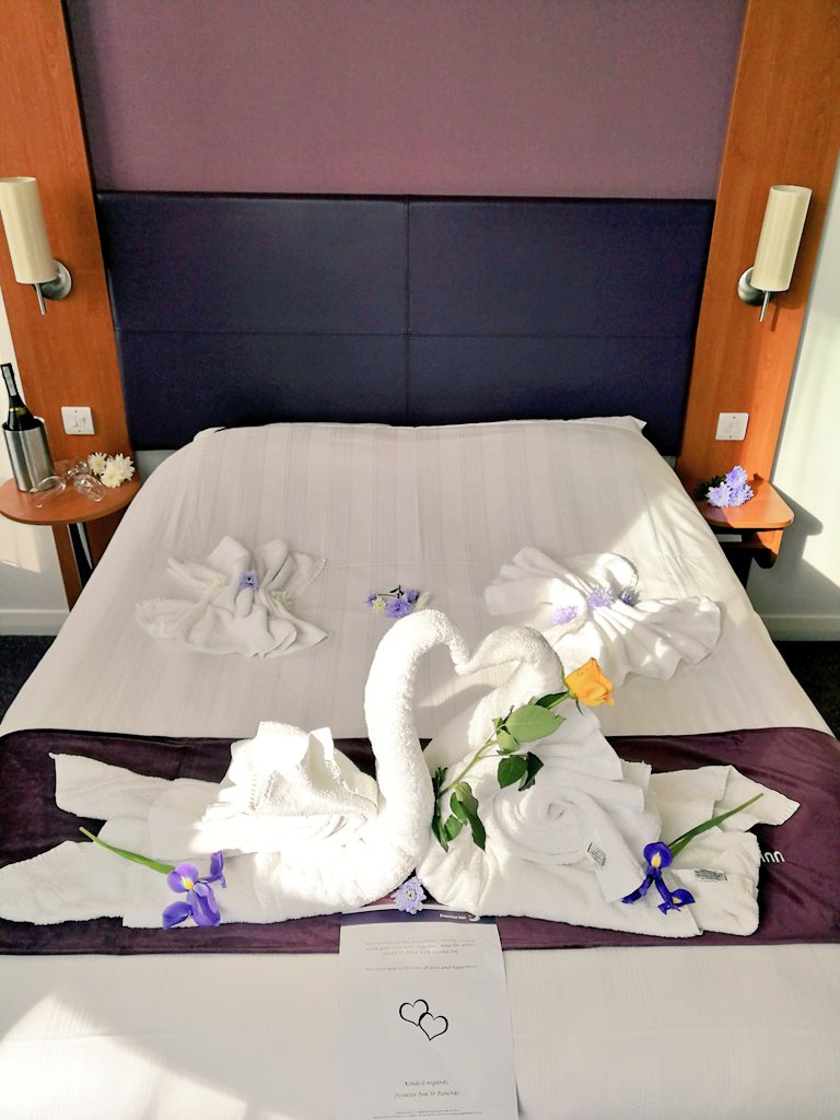 Sarah Fedrigo tweet media