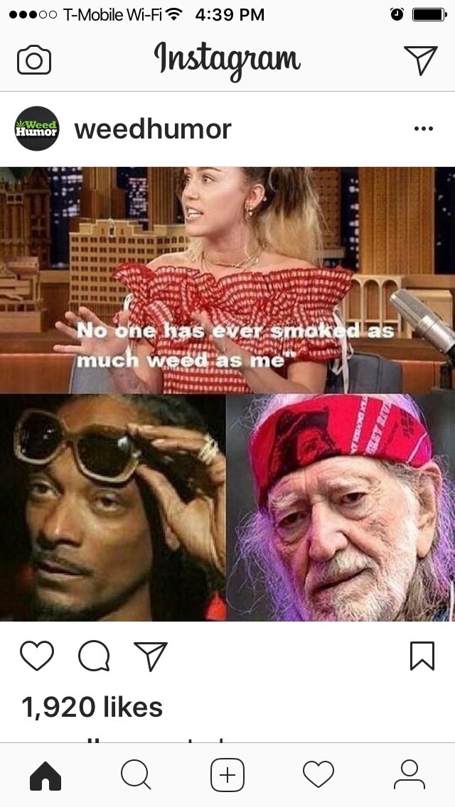 doobie_shop's tweet photo. #mustbehigh #newbie #dipshit #snoopdogg #willienelson #seasonedpros #420 #gethigh #stoner #coloradostoners #brightoncolorado https://t.co/axo8BZtc1W