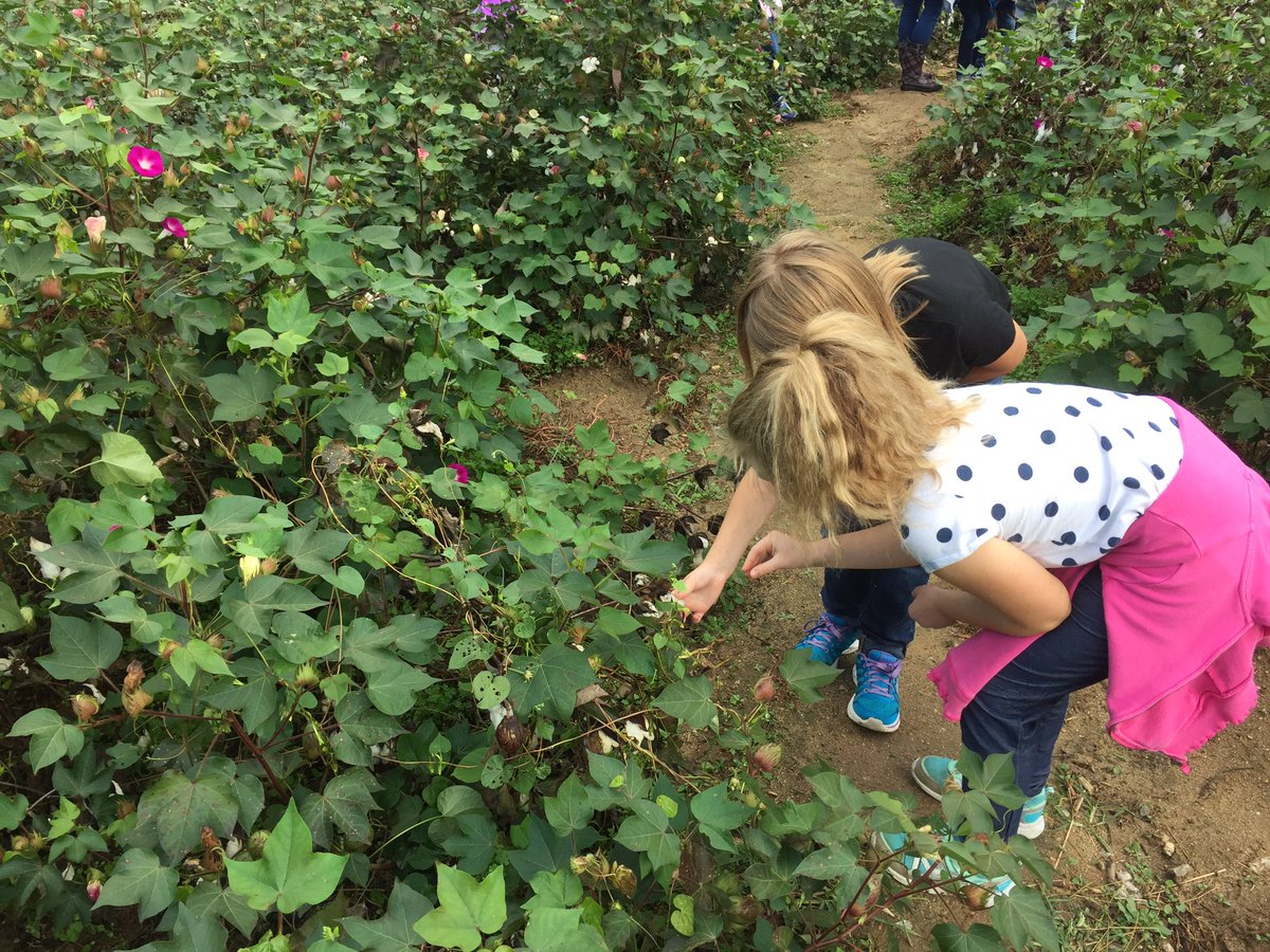 Awesome day yesterday at Oak View farms learning about life long ago.