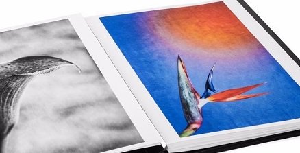 FreedomPaper's tweet image. See and compare new inkjet photo art papers, canvases, and portfolios at PhotoPlus Expo: ow.ly/LOsb30g7rFo