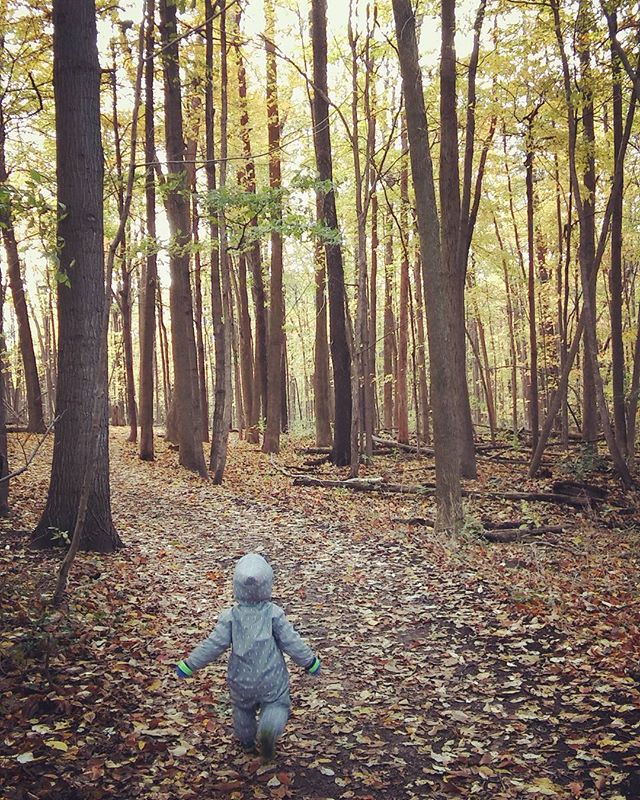 Lisa Murphy tweet media