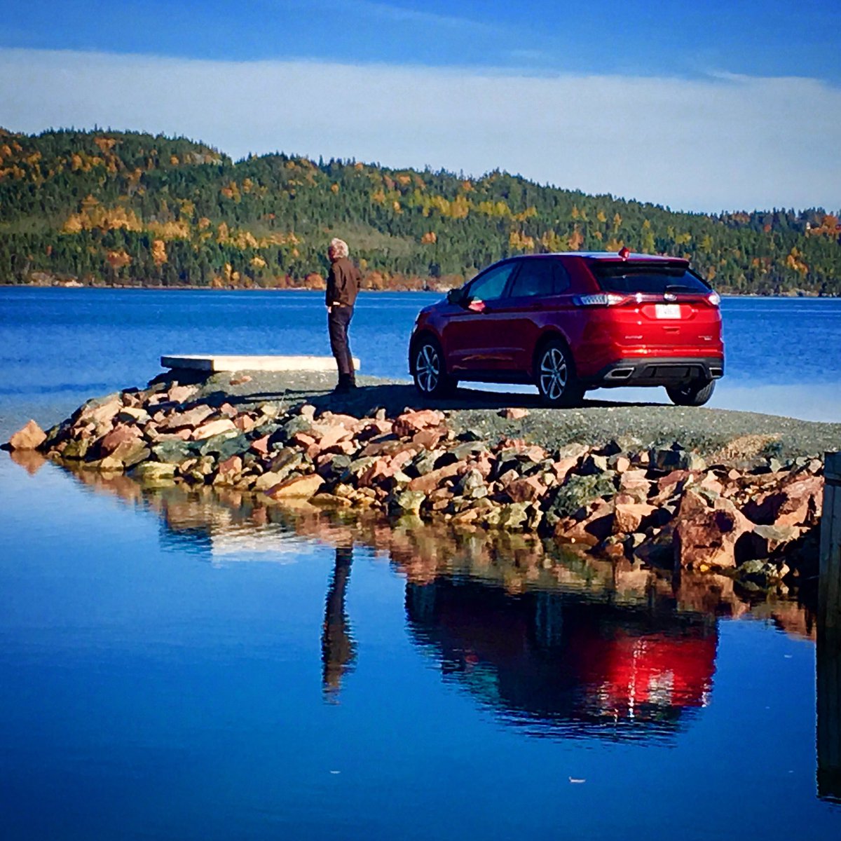 Lisa Calvi tweet media