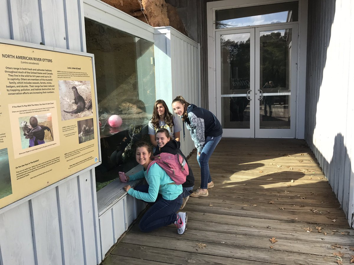 kake710's tweet photo. STEM Biology students exploring at the Calvert Marine Museum!! https://t.co/qS3edju1kU