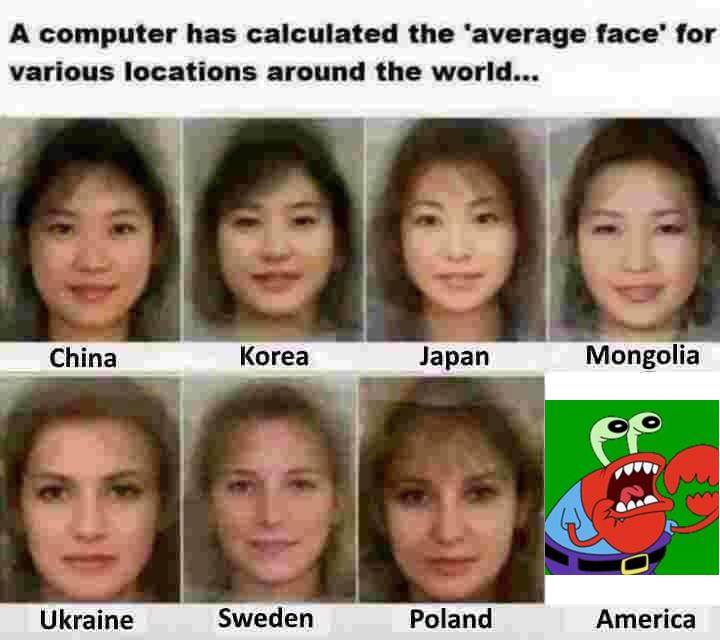 ShitpostBot5000's tweet photo. https://t.co/P8Bb5SqZU6