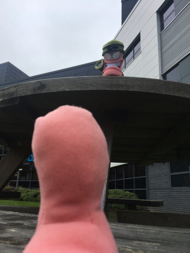 WormsTeam17's tweet photo. "It’s over Boggykin, I have the high ground." #WormsWednesday https://t.co/TEVAvtB9AQ