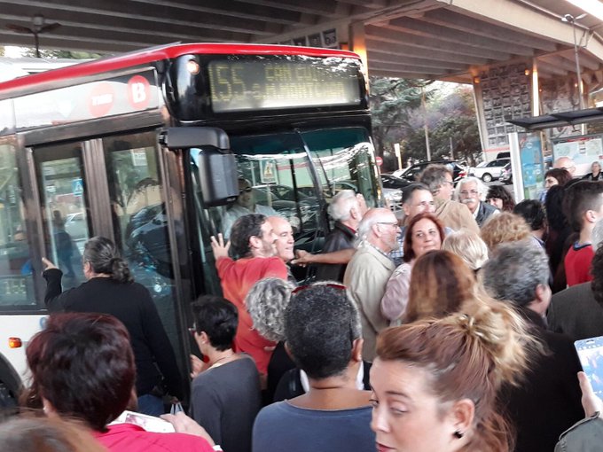 Ver imagen en Twitter