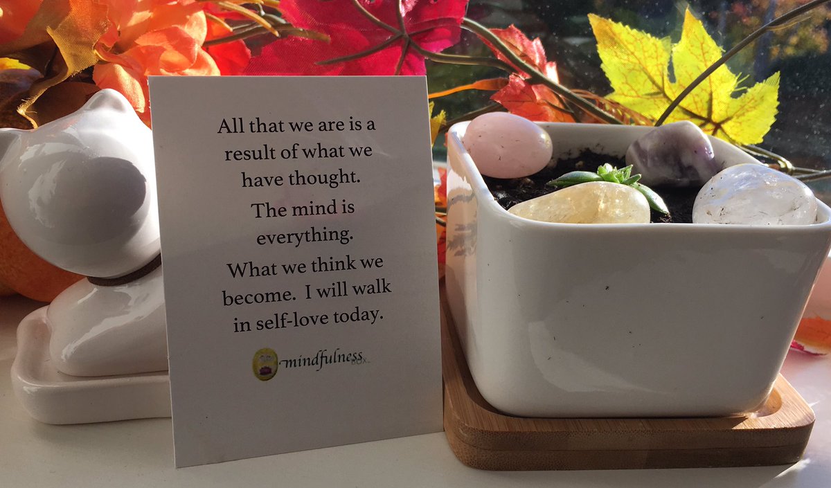TazTammyA's tweet photo. #mindfulnessbox @mindfulnessbox #affirmationcard #affirmationdeck #manifest #manifesting #presentmoment #mindfulness #thoughtsbecomethings https://t.co/XFTk1bHXFO