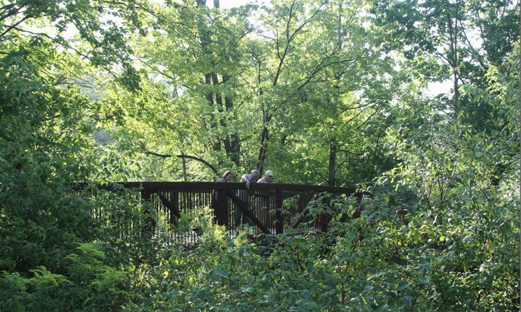 Live near a Toronto ravine? At the Ravine Symposium find out how we can manage challenges better for the future. ow.ly/gdVV30fWzvt