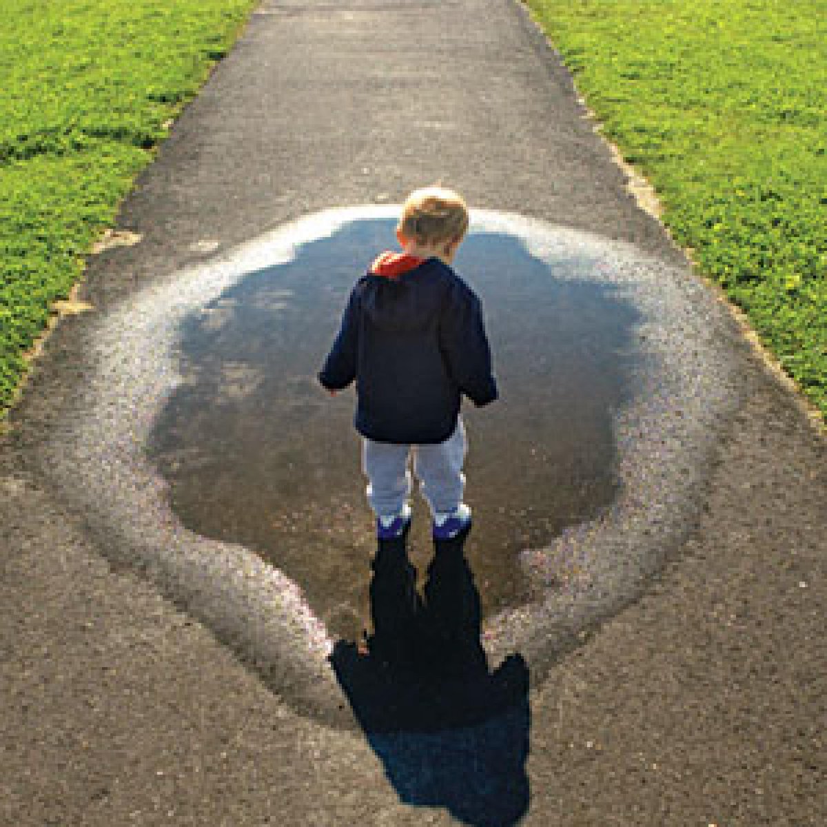 BrainBuild_NJ's tweet image. Could the vaccine/autism debate finally be over for good? Here's what you should know: bit.ly/2g4ibn0