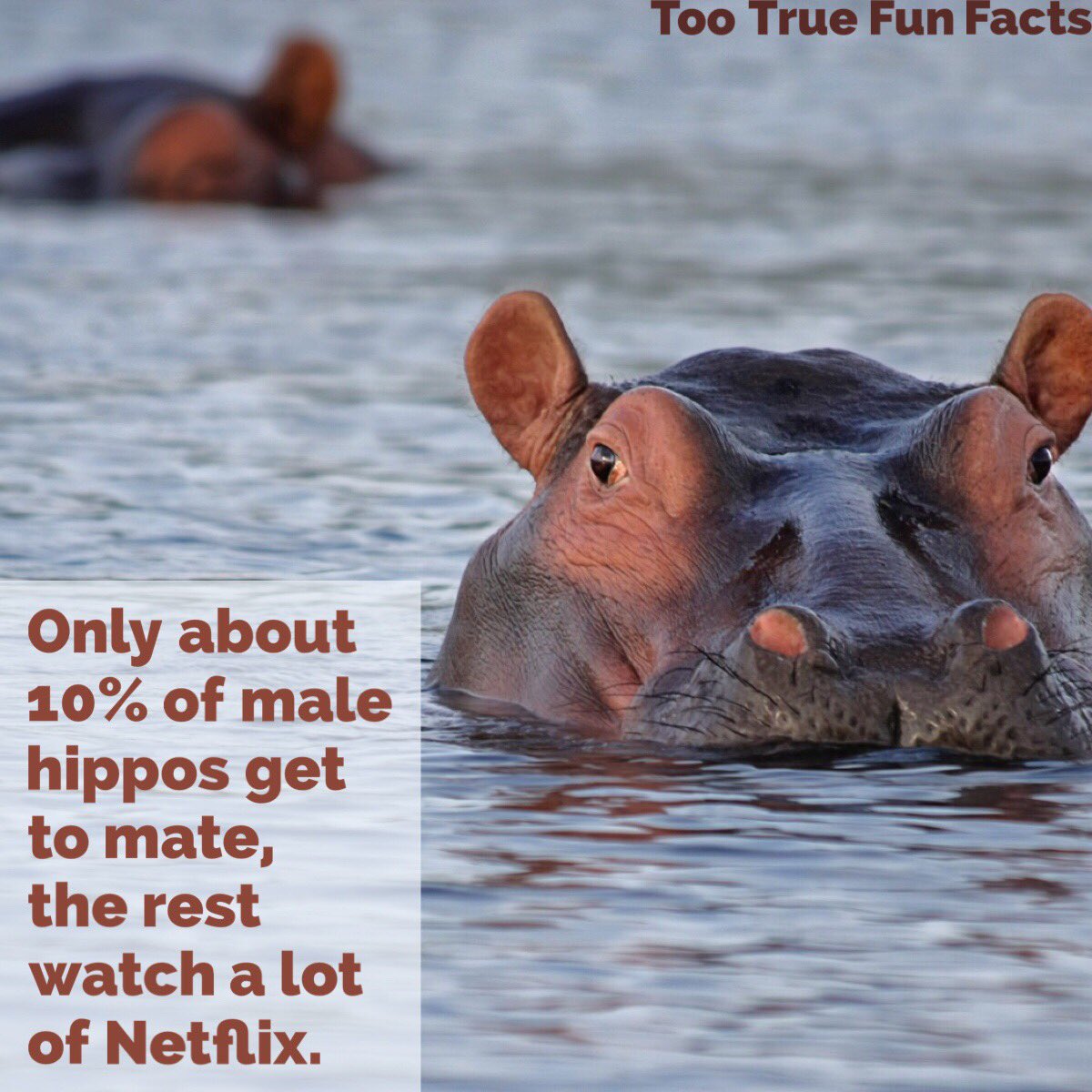 Too True Fun Facts on Twitter: Too True Fun Facts on Twitter:
