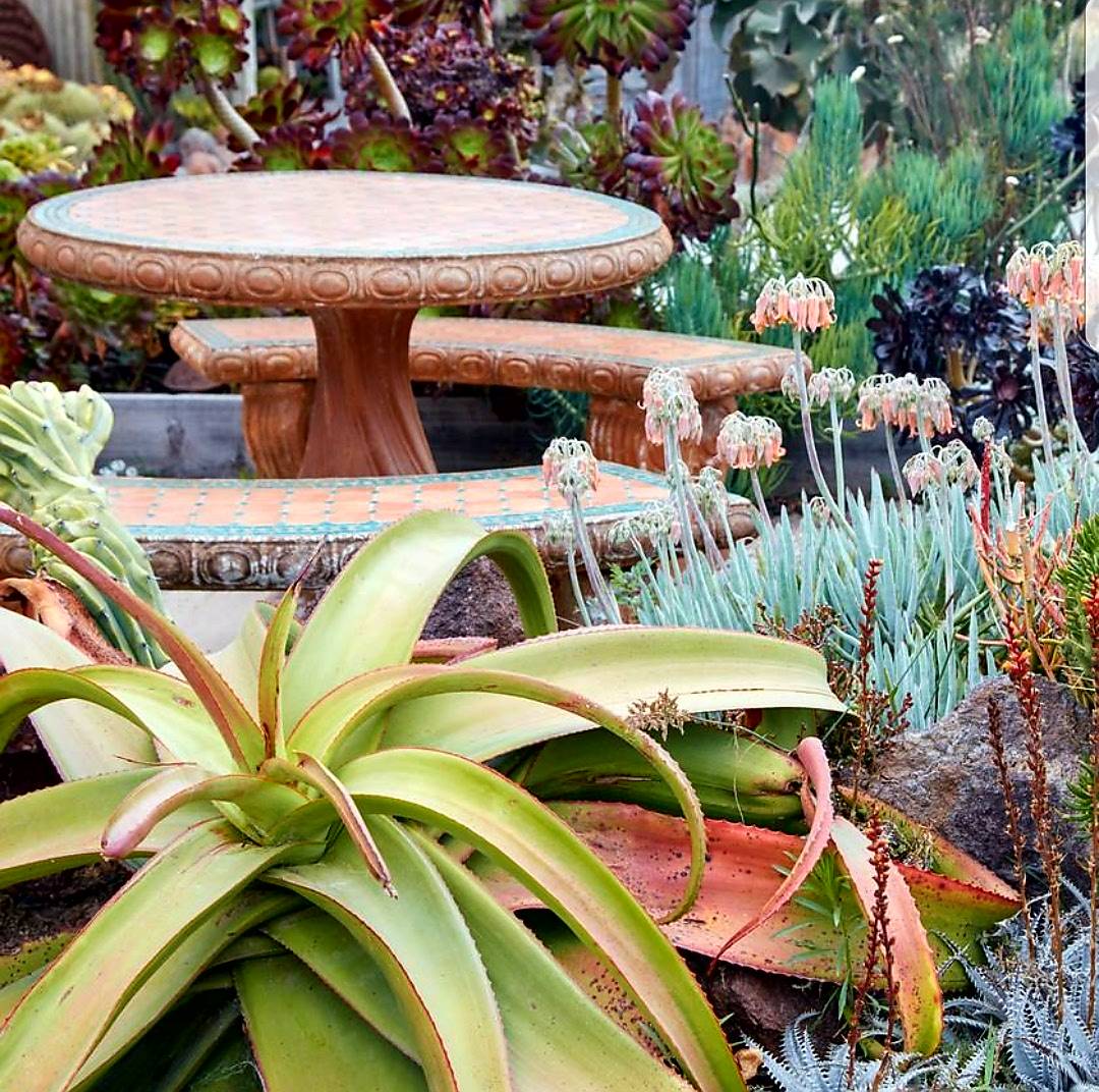 ShopSucculents's tweet photo. https://t.co/O4sYOykR77 
#patio #garden #succulent_ideas #diy https://t.co/sClbDDrEWt