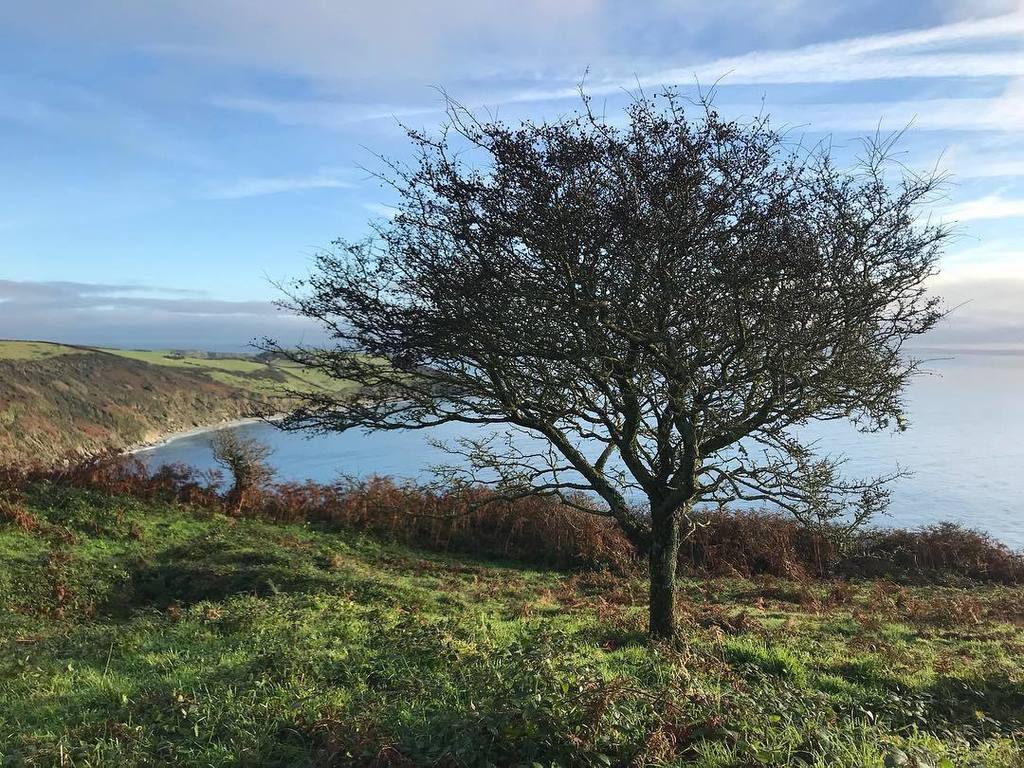 SeaKisses's tweet photo. What a beautiful day! #seakisses #coast #getoutside #seaside #swcoastpath #morningwalk #dodman #cornwall #lovecornwalluk #huffpostgram https://t.co/rHeEvPNUFC