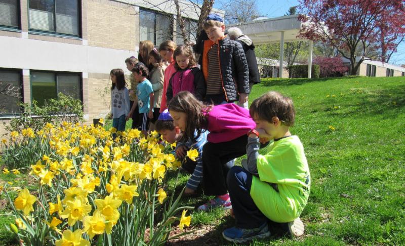 #WJCKids Religious School &amp; HLC join Daffodil Project - Build a Living Holocaust Memorial conta.cc/2gKjtY7