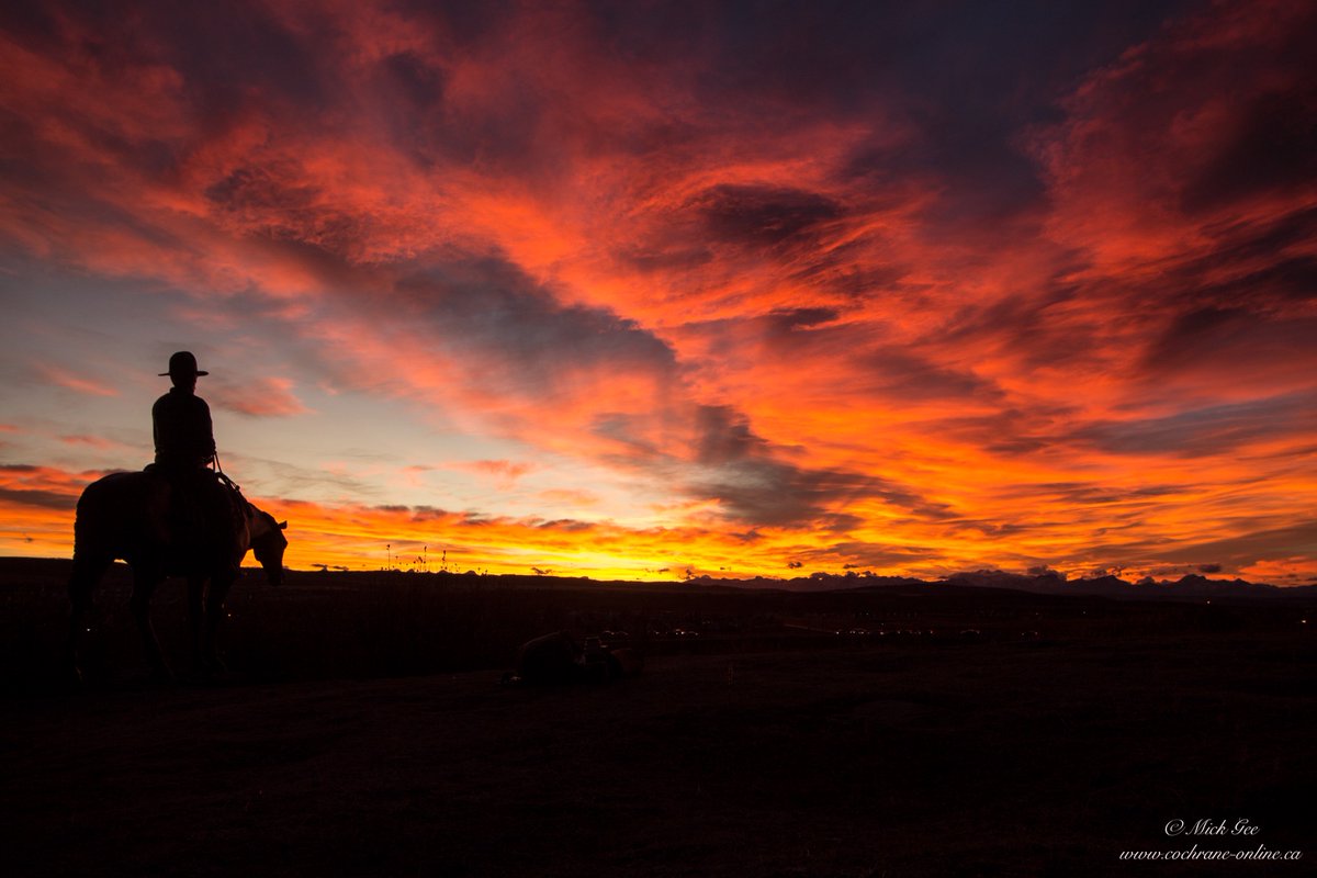 CochraneOnline1's tweet photo. Last nights epic #sunset in #CochraneAB.  So many different colours truly amazing. https://t.co/fzGkOBlCsq