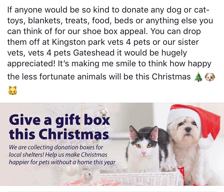 kingston park vets for pets