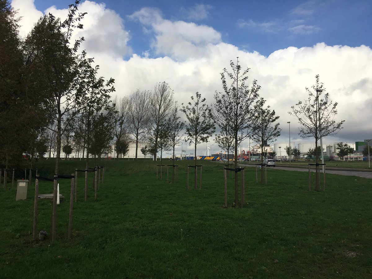 vandiestontwerp's tweet photo. Leuk: 21 prunussen, 300 bloeiende klimplanten en vlinderstruiken moeten de #heining in Adam een ander imago geven: bloemenzee in voorjaar https://t.co/JXijhf6c3D