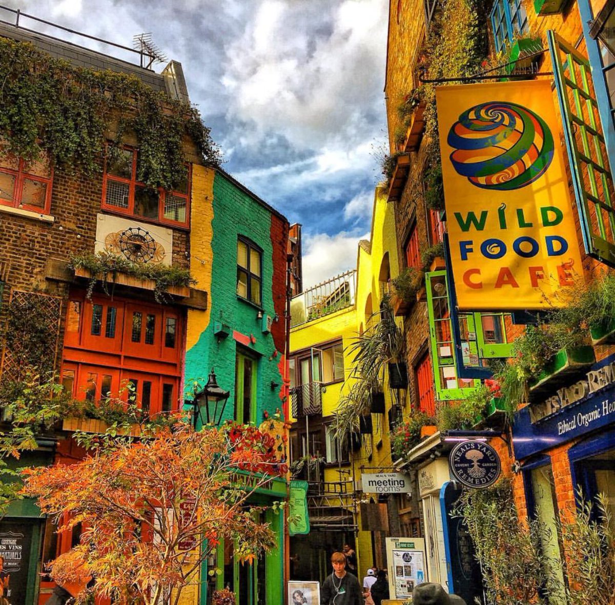 AboRateel2015's tweet photo. ساحة نيل (neal's yard) 
WC2H 9DP #لندن 
قريبة من كوفنت جاردن تتميز بالالوان مبهجه التمشية ف دهاليزها سعادة👌
@tjareb_rima https://t.co/anzrpR91Aj
