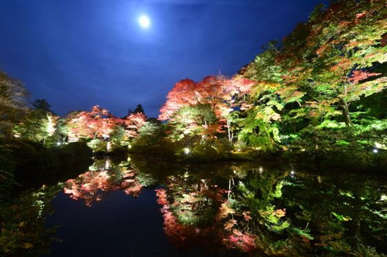 retrip_event's tweet photo. 光に照らされる夜の紅葉。世界遺産・日光山輪王寺で“秋夜のライトアップ”開催 | RETRIP[リトリップ] @retrip_news https://t.co/2k399DbJYX https://t.co/nk69tvKRn2