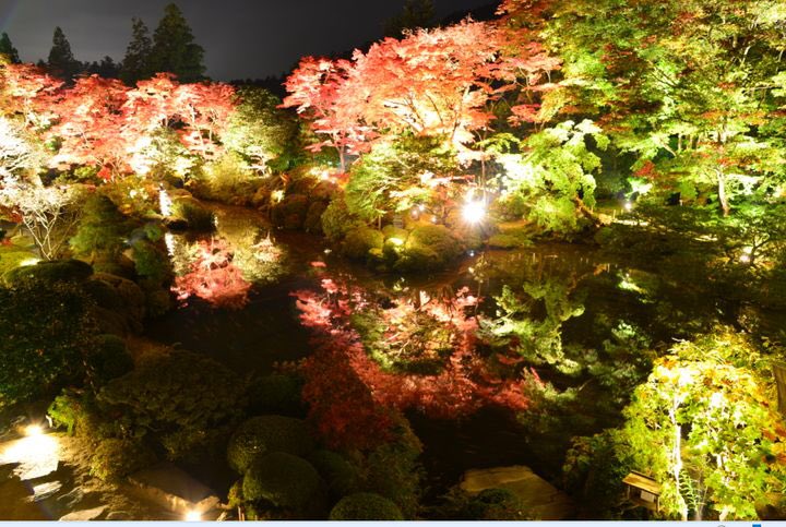 retrip_event's tweet photo. 光に照らされる夜の紅葉。世界遺産・日光山輪王寺で“秋夜のライトアップ”開催 | RETRIP[リトリップ] @retrip_news https://t.co/2k399DbJYX https://t.co/nk69tvKRn2
