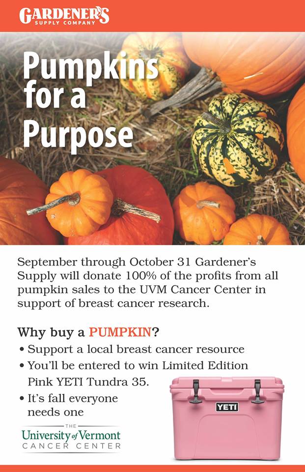 UVMcancercenter's tweet photo. In October 100% of profits from pumpkins at @Gardenerssupply benefit #breastcancer research at @UVMcancercenter! #PumpkinsForAPurpose https://t.co/H6f15sB2c0