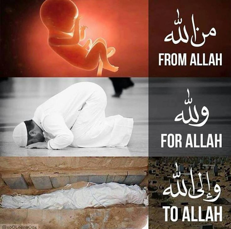 islamitalks's tweet photo. #FromAllah #ForAllah #ToAllam
#70YearsOfIndianBrutality https://t.co/3VDSx8RmzV