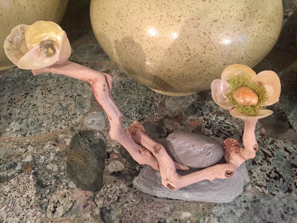 rosellabetty's tweet photo. #MyArt using #Nature's elements #ShellFlower #Stone #Wood https://t.co/UIMS9vpmaZ