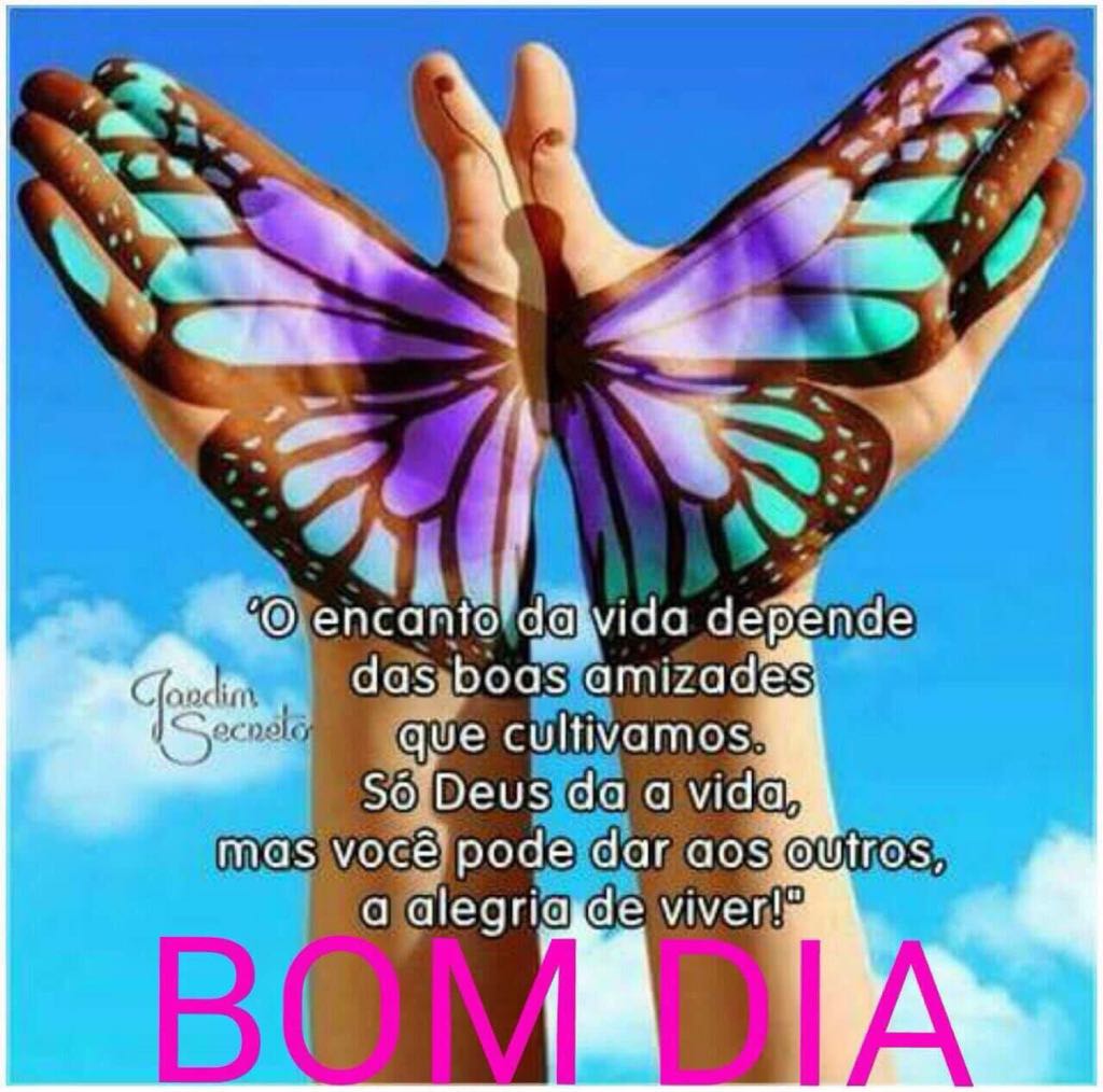 #betas #bomdiabetas #BetaSegueBeta #SDV