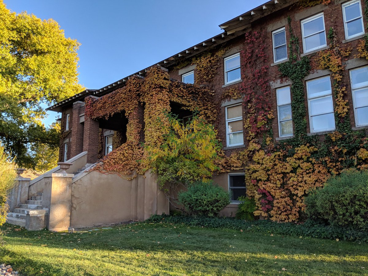 DemandGenDan's tweet photo. Happy to be on #teampixel and living in #abq. So many great photo opps! #NoFilter #NewMexicoFall https://t.co/ArpeXl52pH