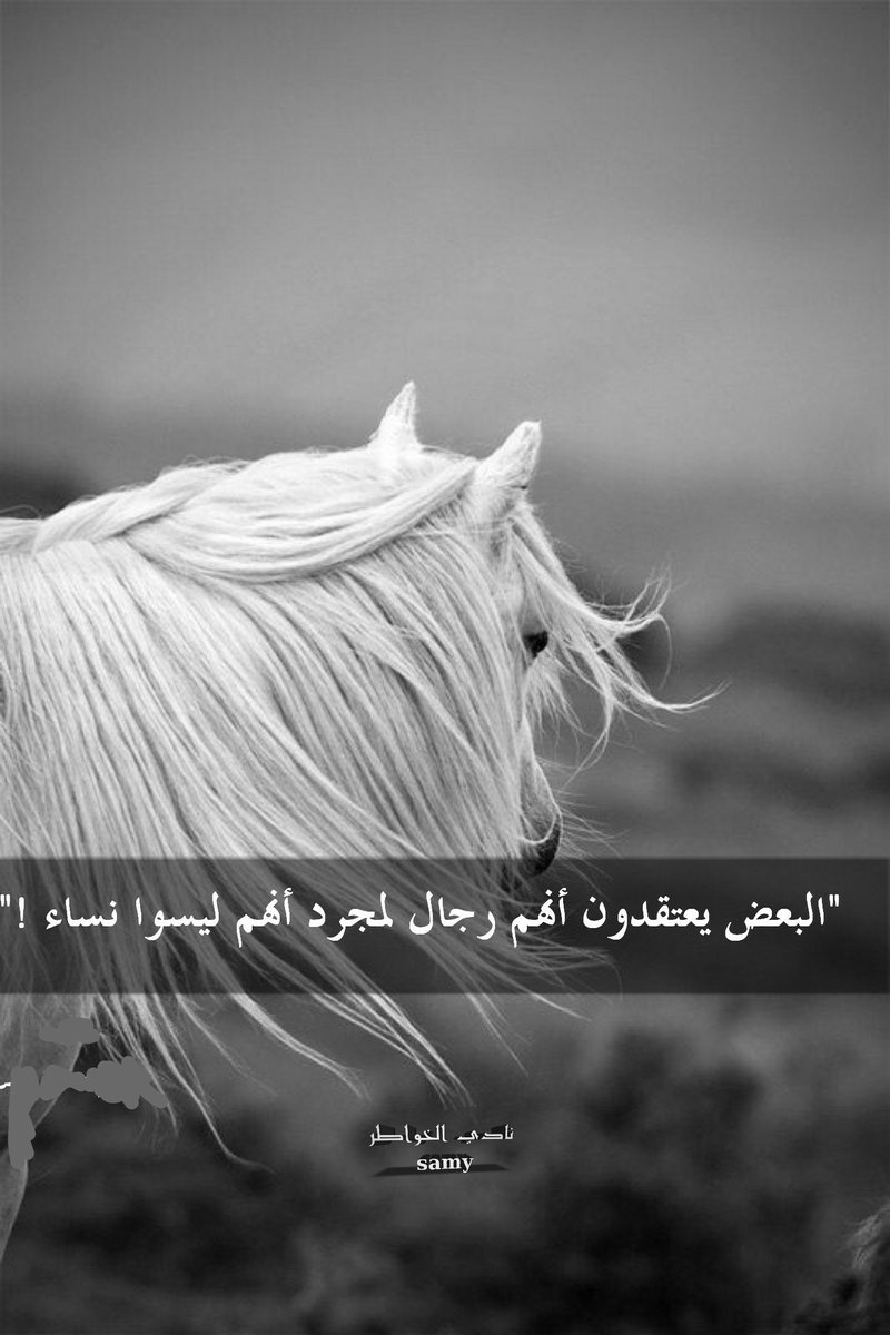 Sa_65m's tweet photo. البعض يعتقدون 👇👇 https://t.co/r2MxU7JttV