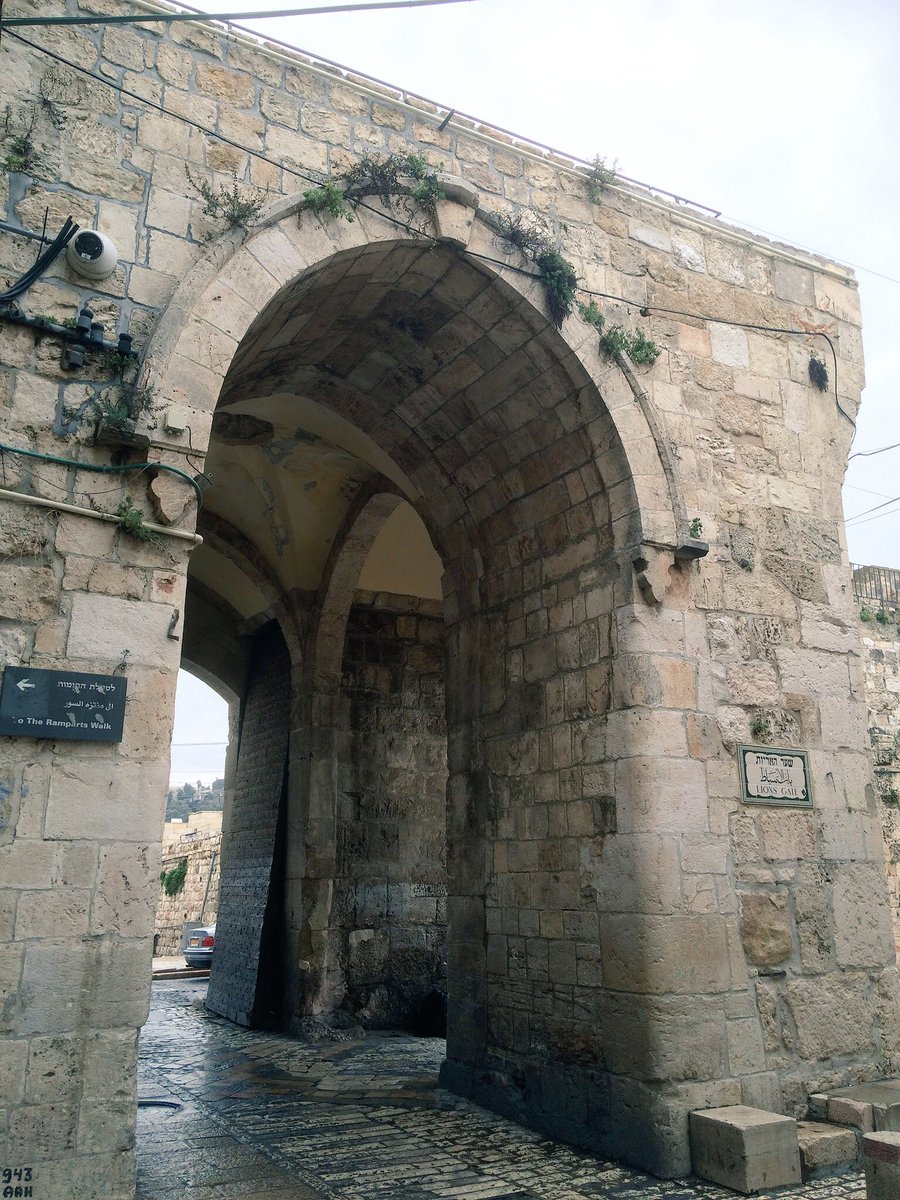 ArmchairTheo's tweet photo. #Neh3 begins &amp; ends w the Sheep Gate where the sacrificial lambs entered &amp; Christ began the Via Dolorosa. https://t.co/yD7Fvwb8Df