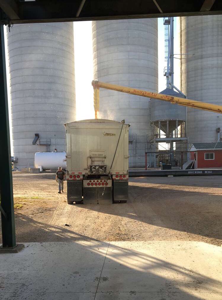 KurtisGodts's tweet photo. Another load of corn out, another grain bin empty 🌽 #corn #farm365 https://t.co/aq2abZ4hNn